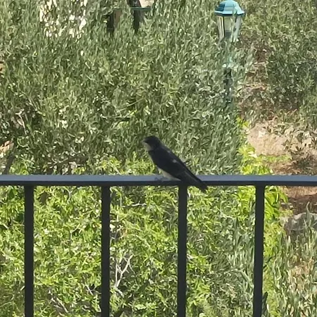 Spacious 2-bedroom With Terrace Sea View 公寓