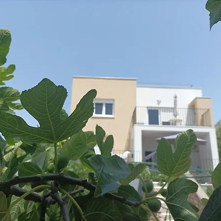 Spacious 2-bedroom With Terrace Sea View Apartment Zaboric
