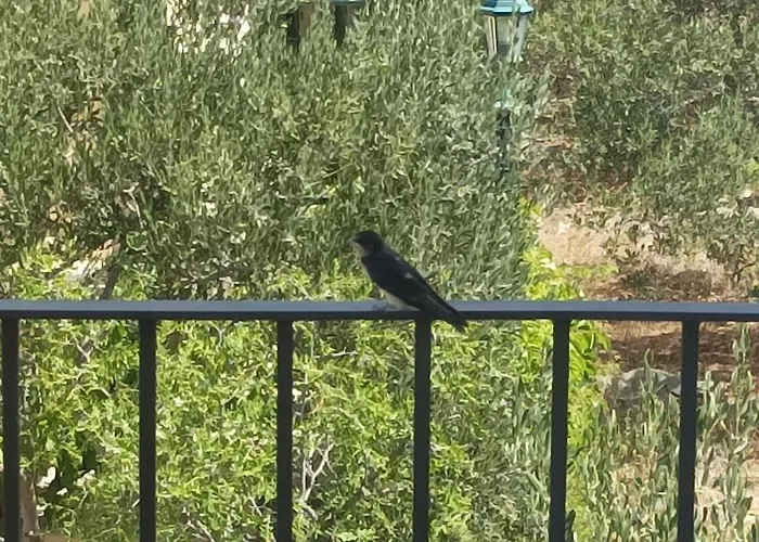 Spacious 2-bedroom With Terrace Sea View 公寓