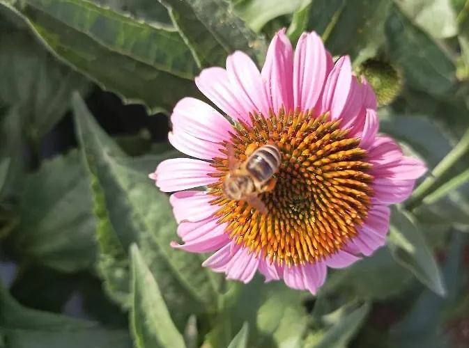 Spacious 2-bedroom With Terrace Sea View * 扎博里克